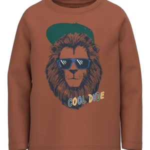 Camiseta Marrón León
